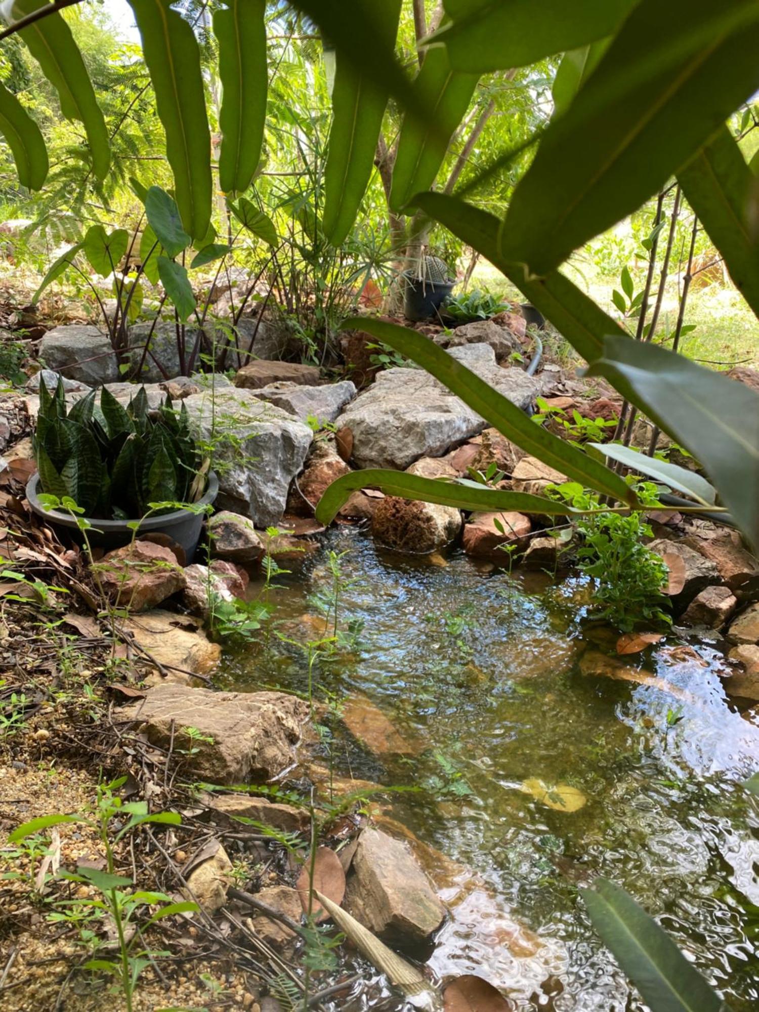 Royal mountain view  Villa Ratchaburi ภายนอก รูปภาพ